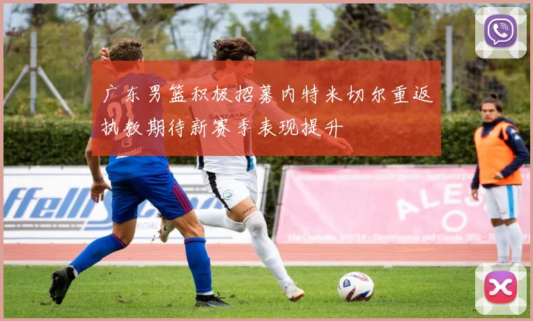 广东男篮积极招募内特米切尔重返执教期待新赛季表现提升