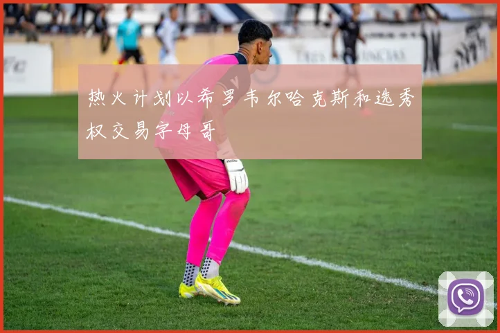 热火计划以希罗韦尔哈克斯和选秀权交易字母哥